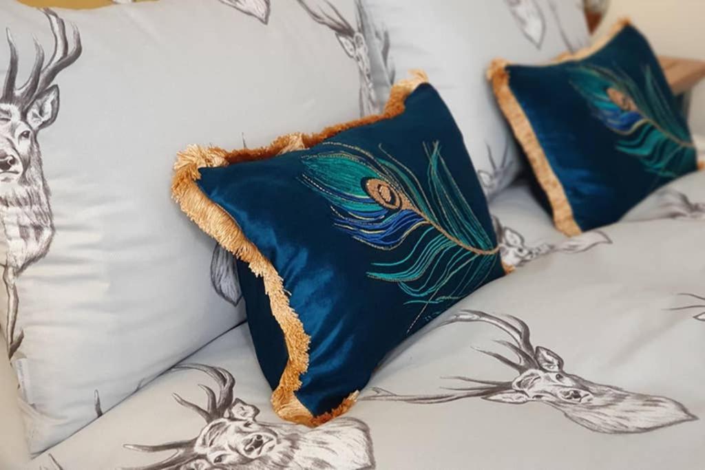 Smart & Stylish Holiday Apartment In The City Centre Inverness Exteriör bild